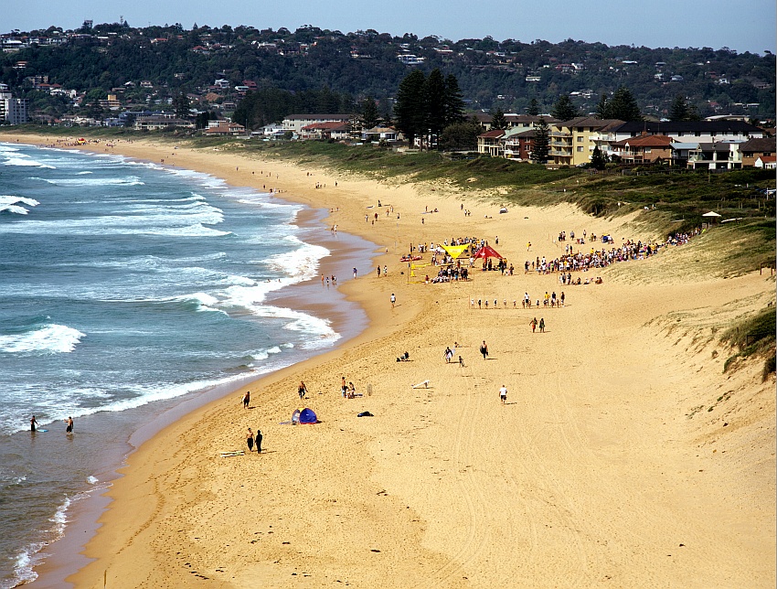 Nippers Morning
