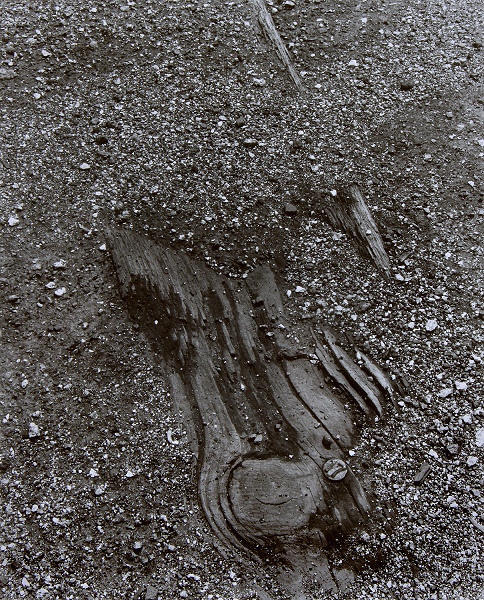 No 17 (railway Sleeper)