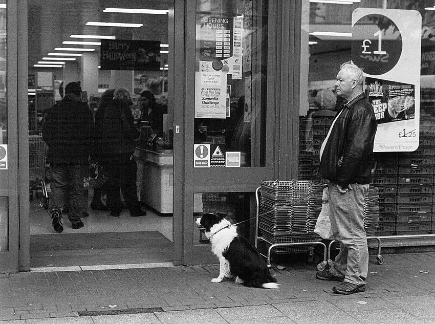 No Entry for Dogs !