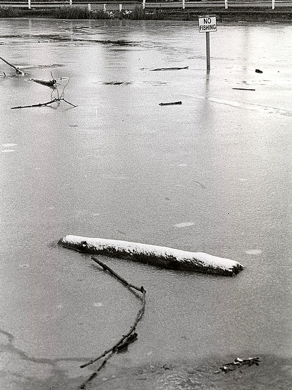 No Fishing