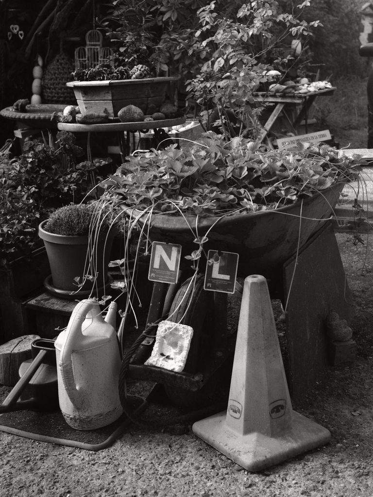 "No Garden Gnomes Need Apply"