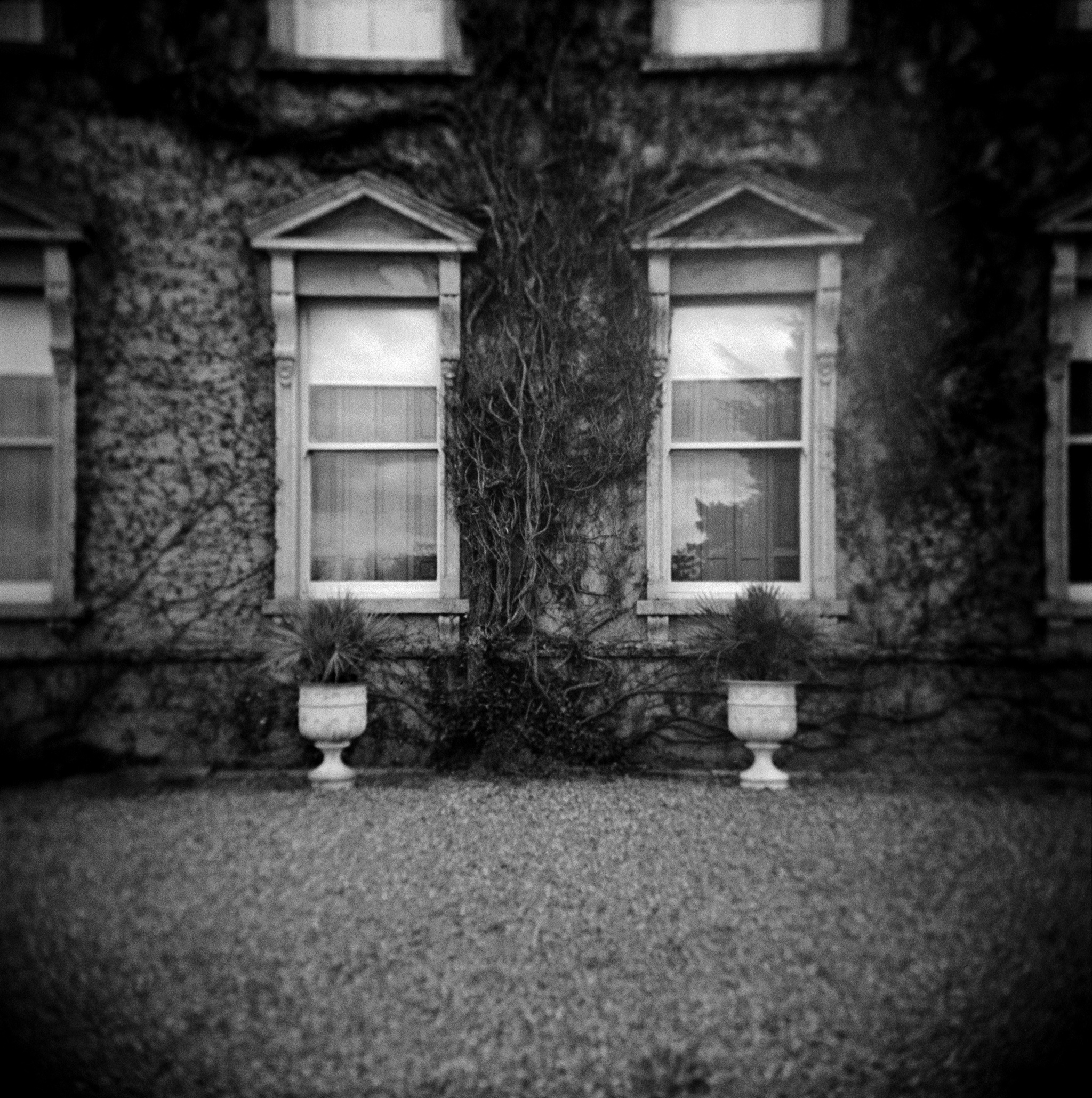 No House Visits