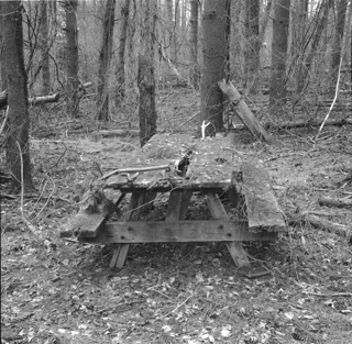 No Picnic!