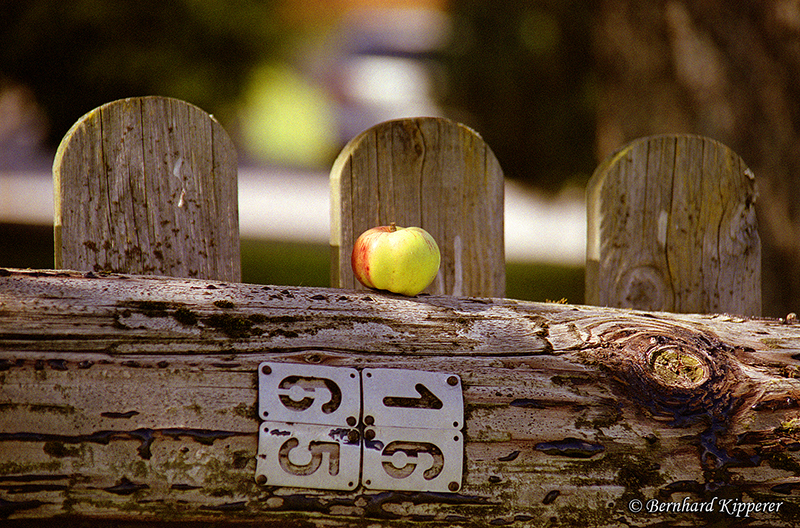 No_O_fence
