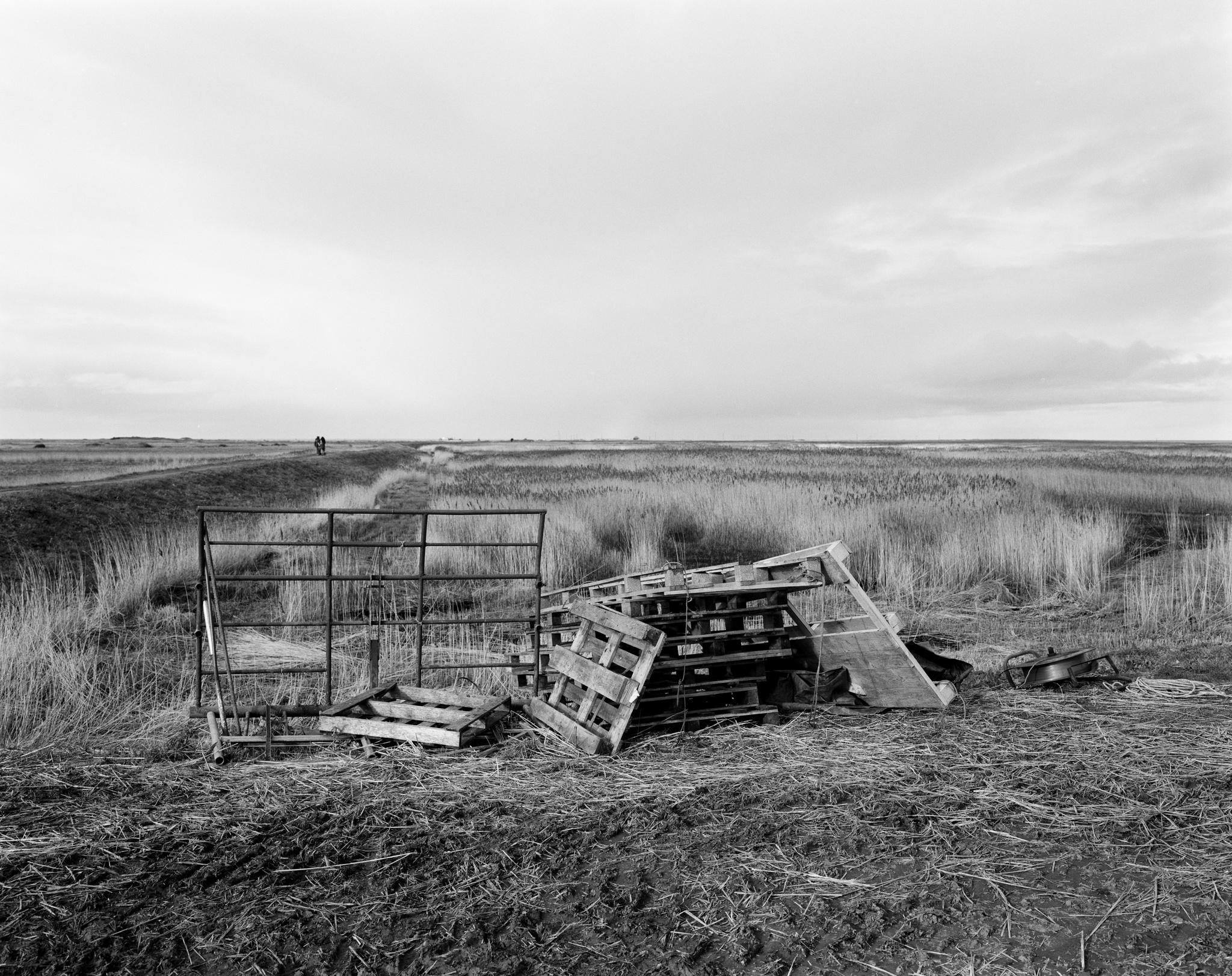 Norfolk coastal path.