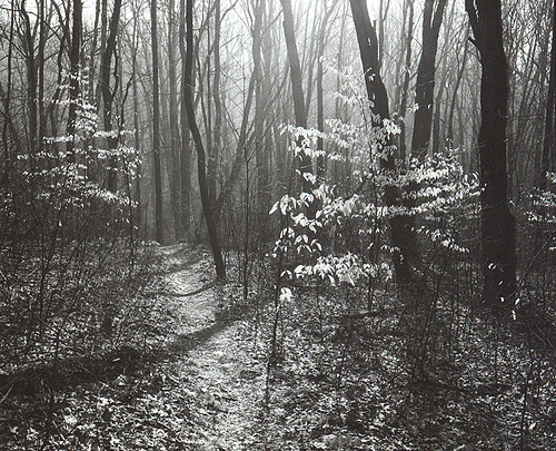 North Country Trail