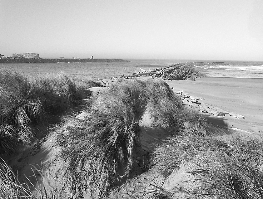 North Jetty Coquille River
