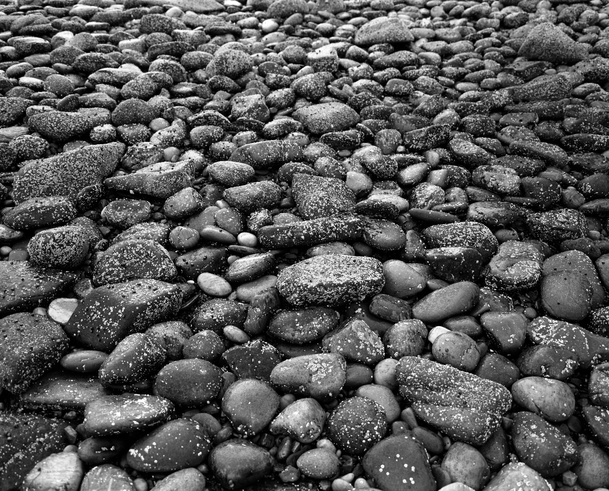 North West Scotland summer - 16
