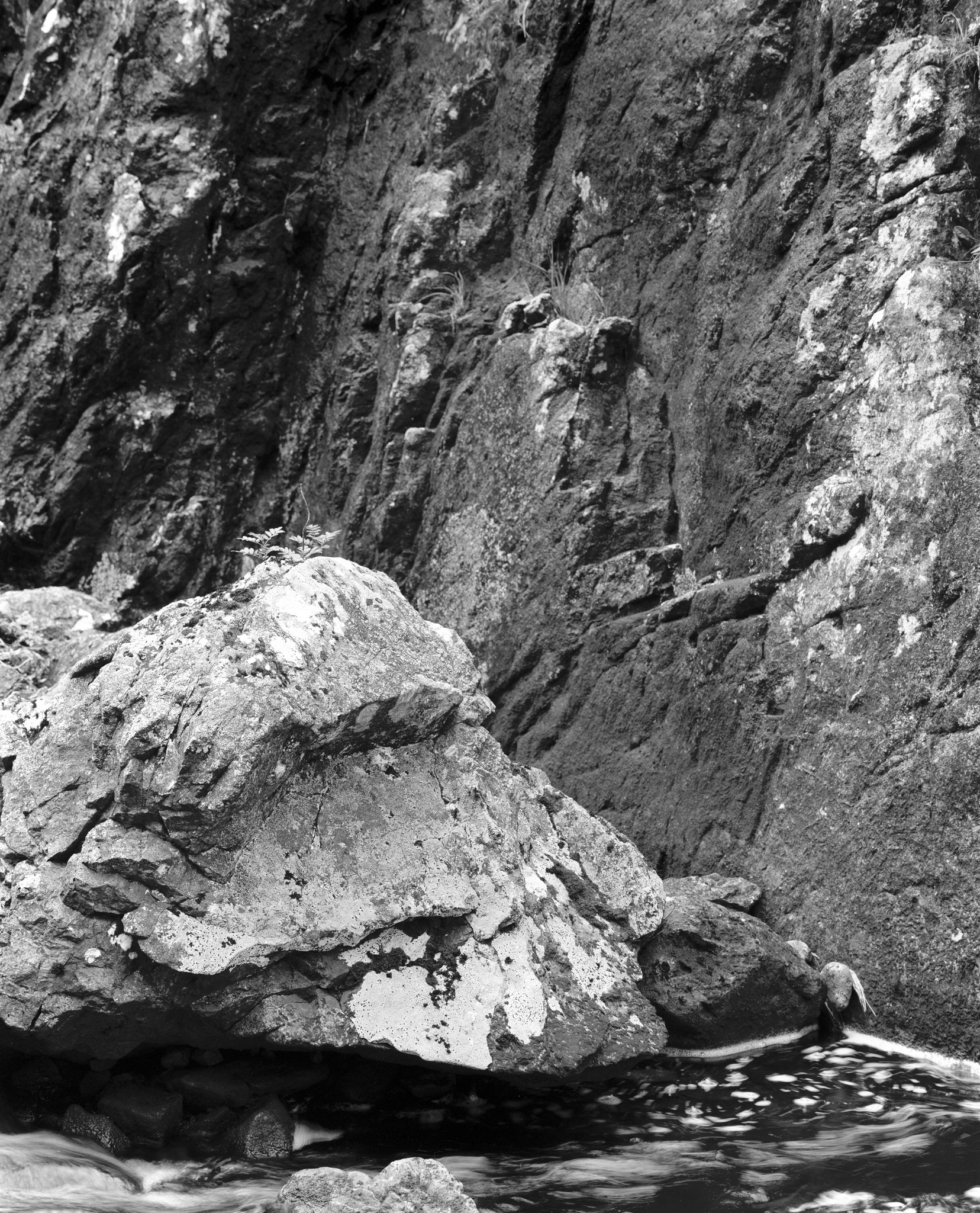 North West Scotland summer - 2