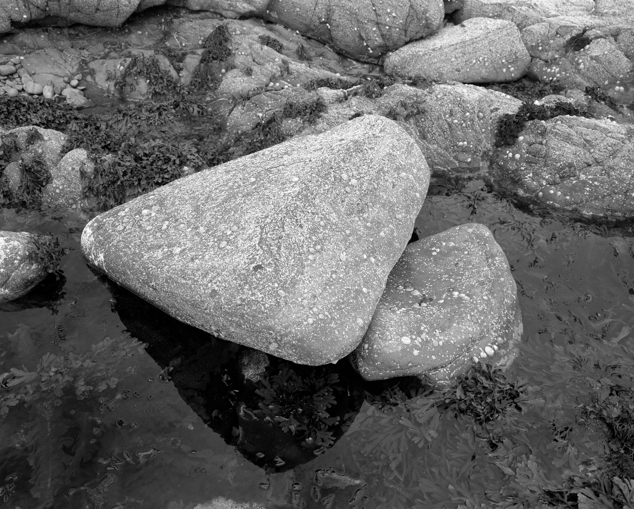 North West Scotland summer - 20