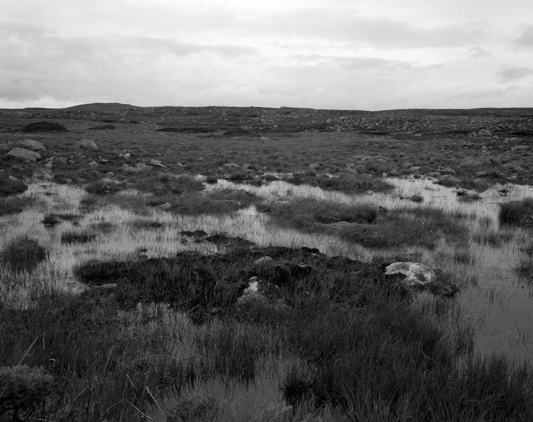 North West Scotland summer - 7