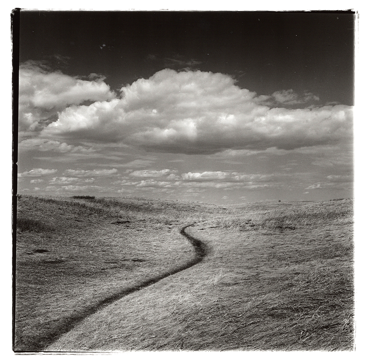 Nose Hill, Calgary AB (click on the image)
