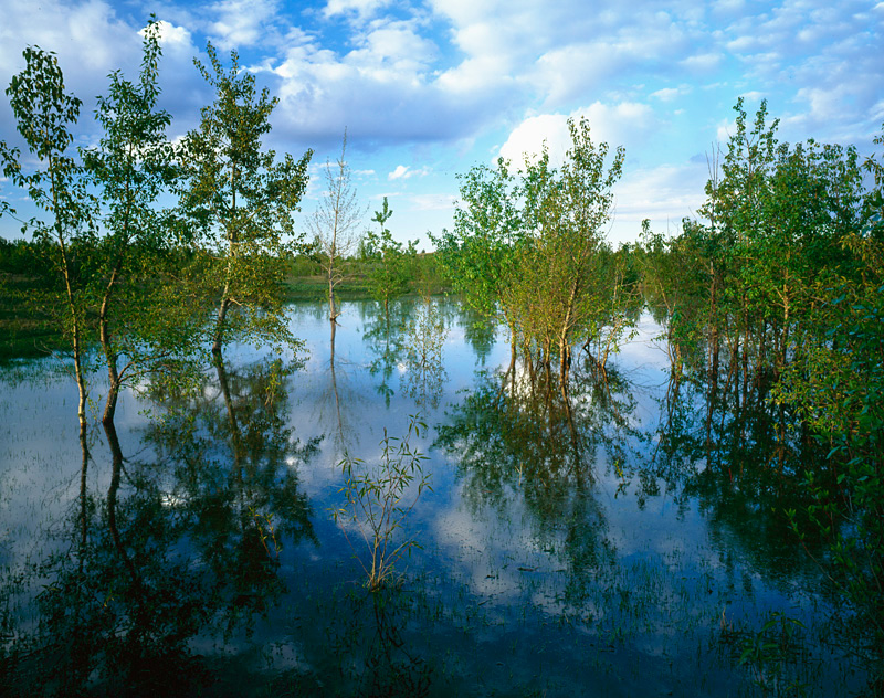 Nose hill waters