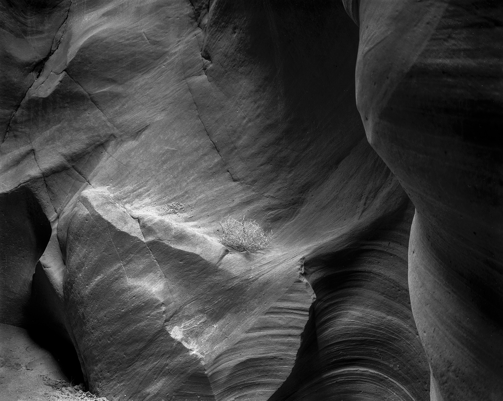 Not another canyon pic!