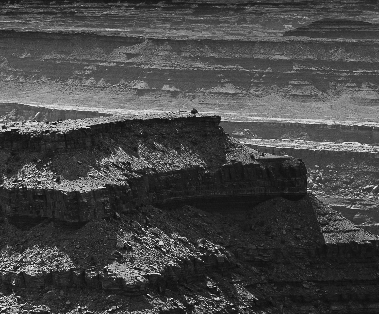 Not Dead Horse Point Crop