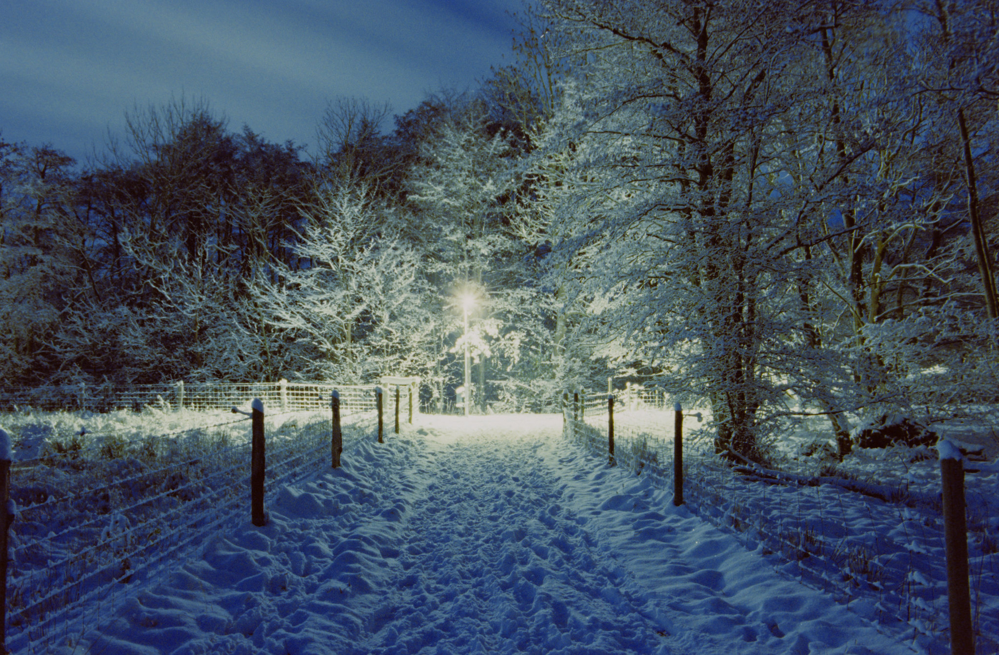 Not Narnia!