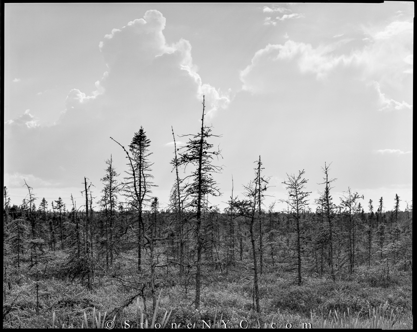 Nova Scotia 8x10 Adventure