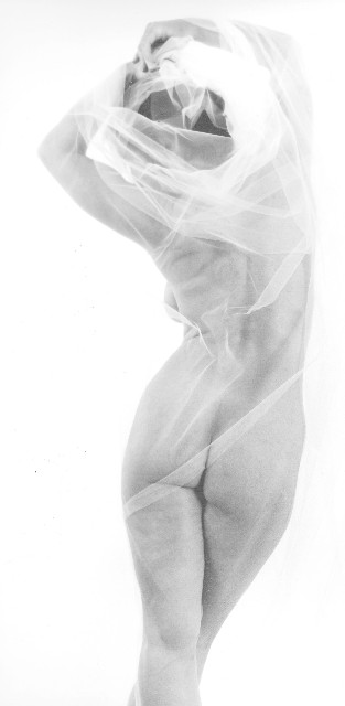 Nude #31
