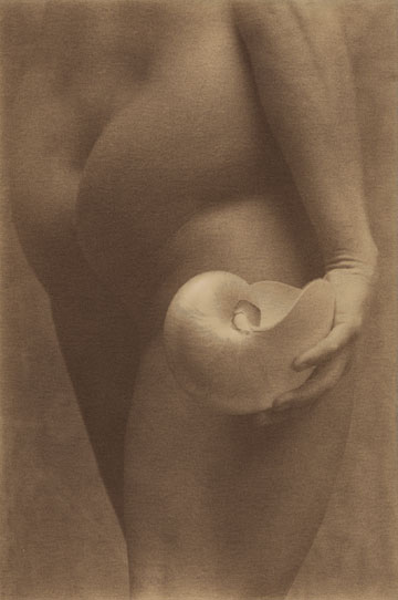Nude & Nautilus II
