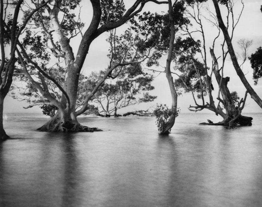Nudgee Beach
