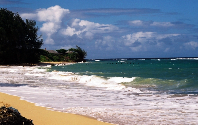 Oahu windward shore
