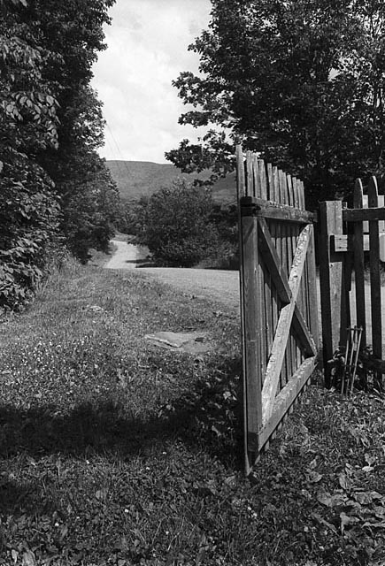 Oak Creek Road, Halcott, NY