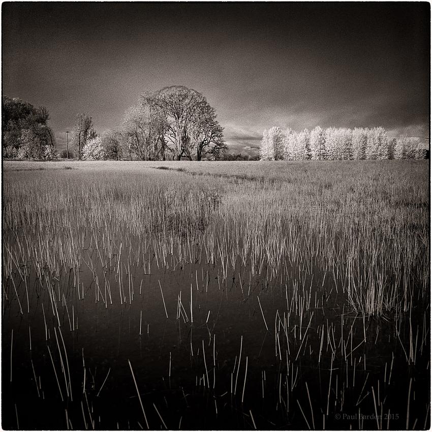 Oak Grove, early morning view