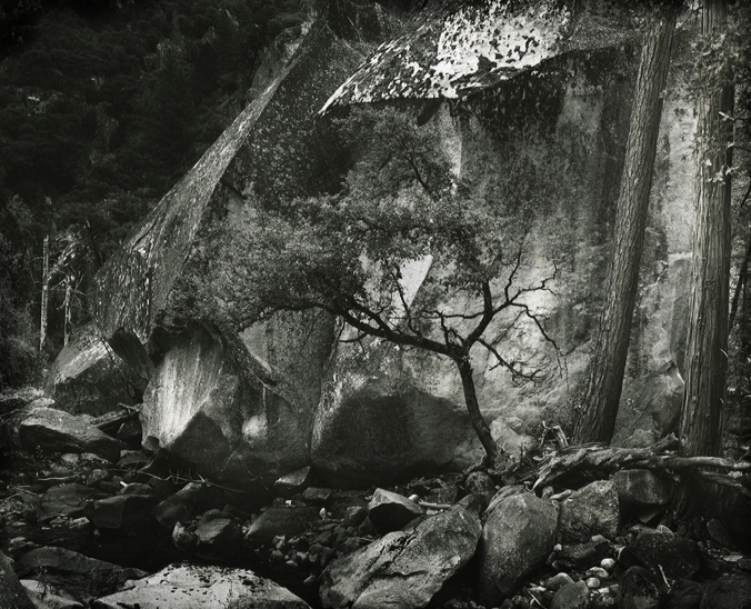 Oak & Rock