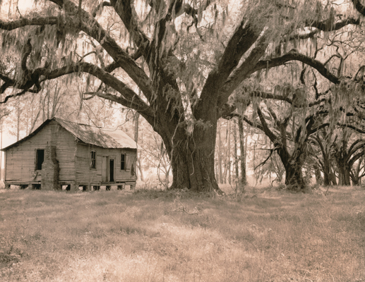 oaks and hut 3