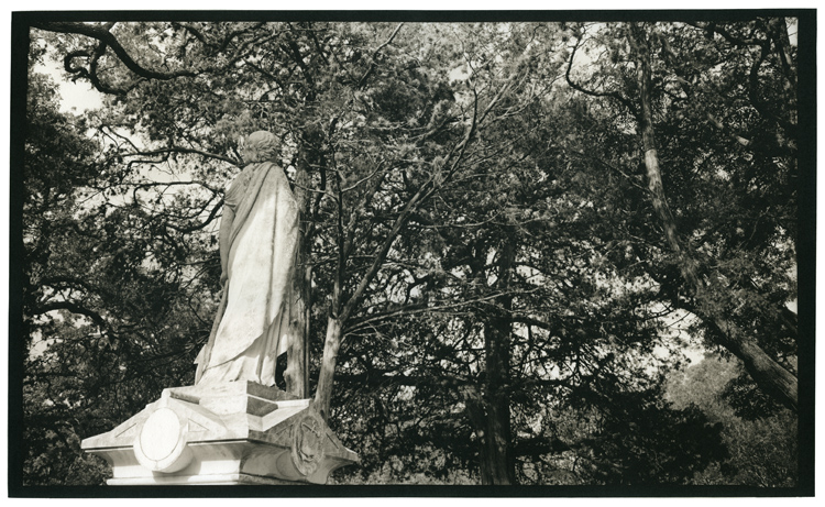 Oakwood Cemetery #11 - 12x20 pt/pd