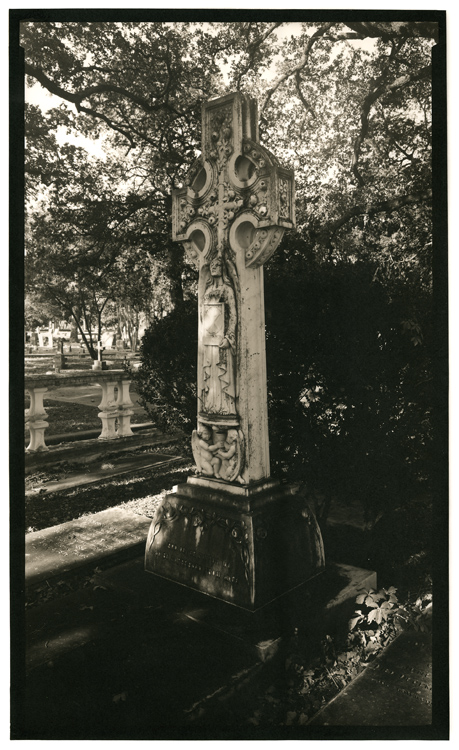 Oakwood Cemetery - 12x20 pt/pd print