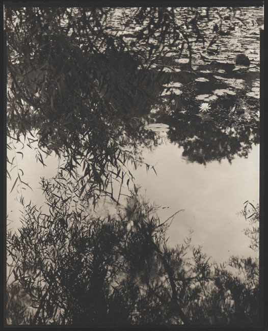 Ode to Pictorialism, Kenilworth Gardens