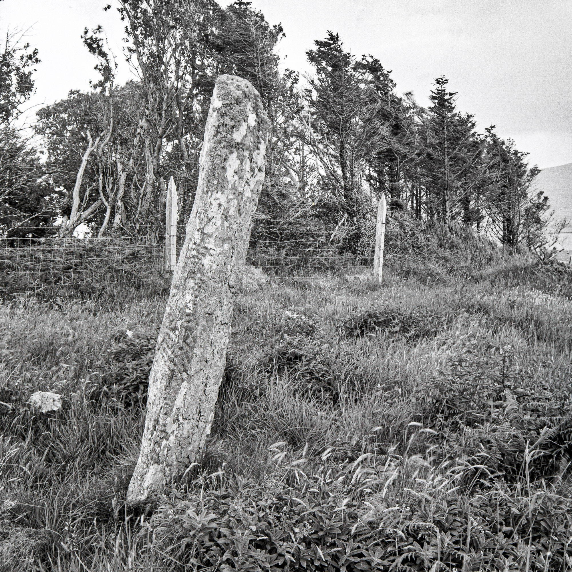 Ogham Stone, Valentia