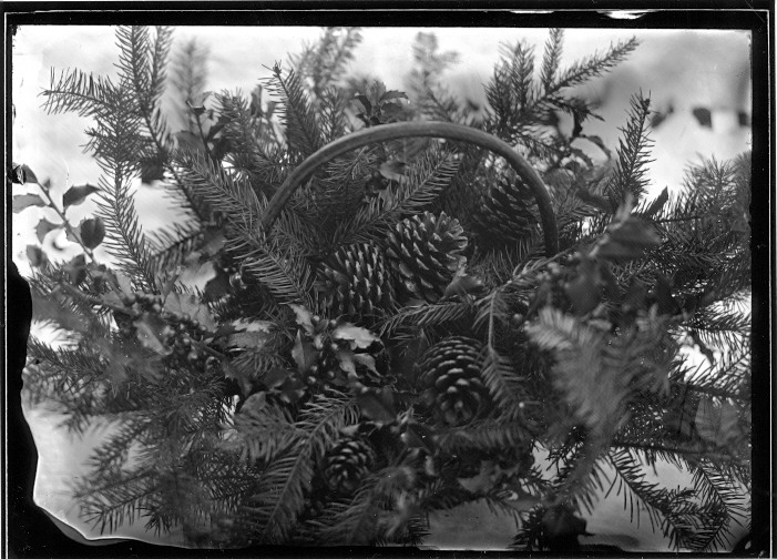 oh!  another glass neg!