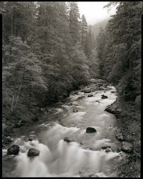 Ohanapecosh River
