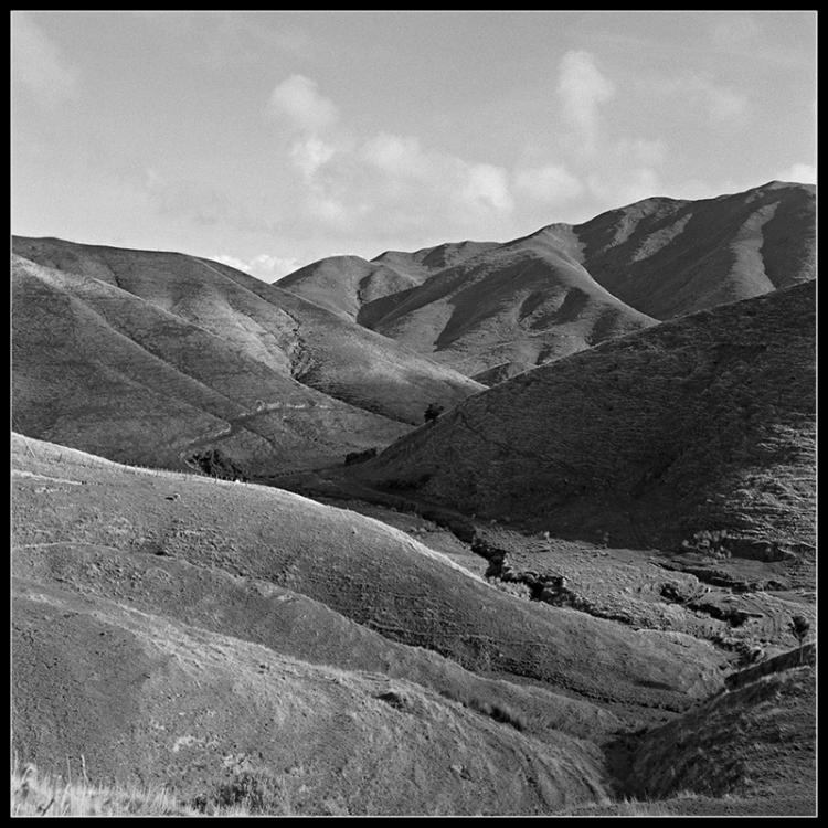 Ohariu Hills