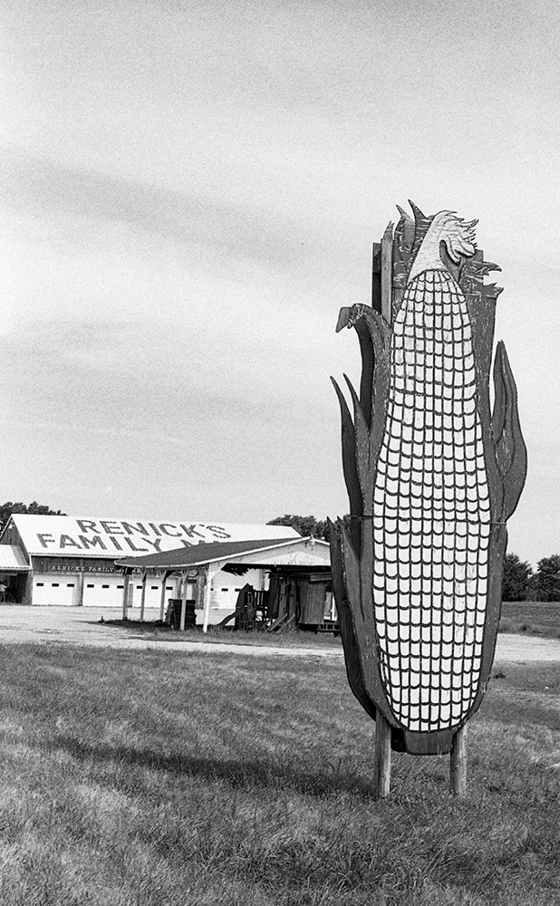 Ohio Corn