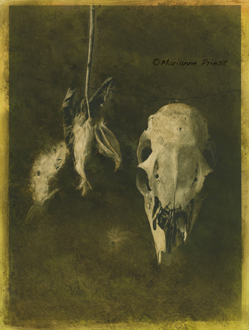"oilgraph 4"