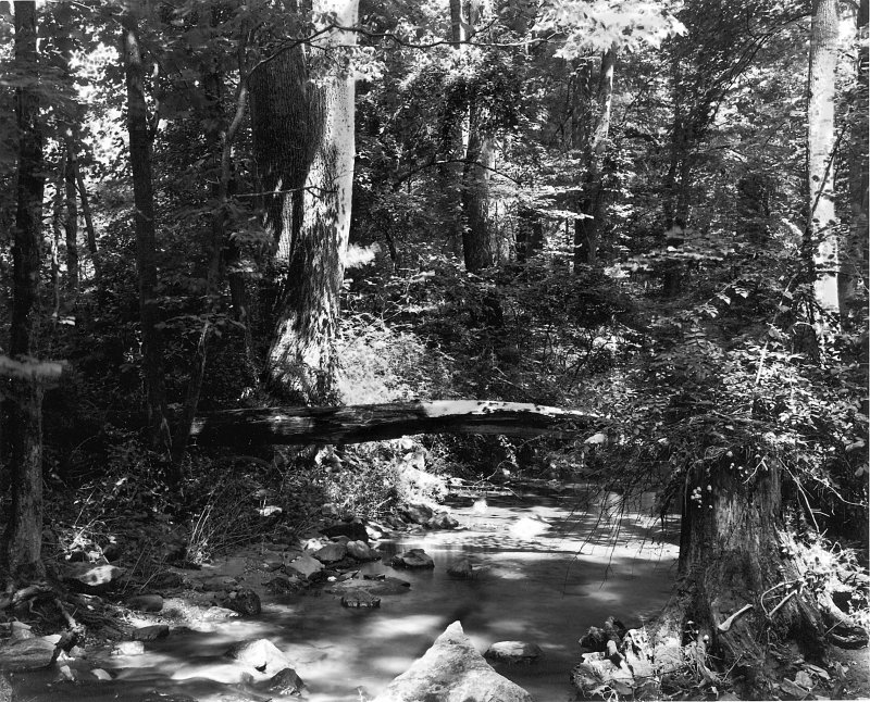 Old Agfa Doppel