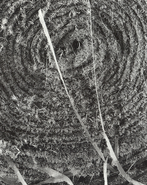 Old Artificial Turf