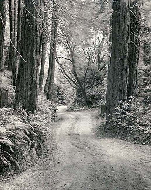 Old Coast Rd 282