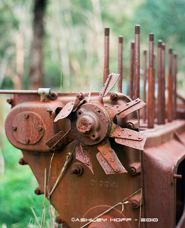 Old Crawler Tractor, Scott Creek
