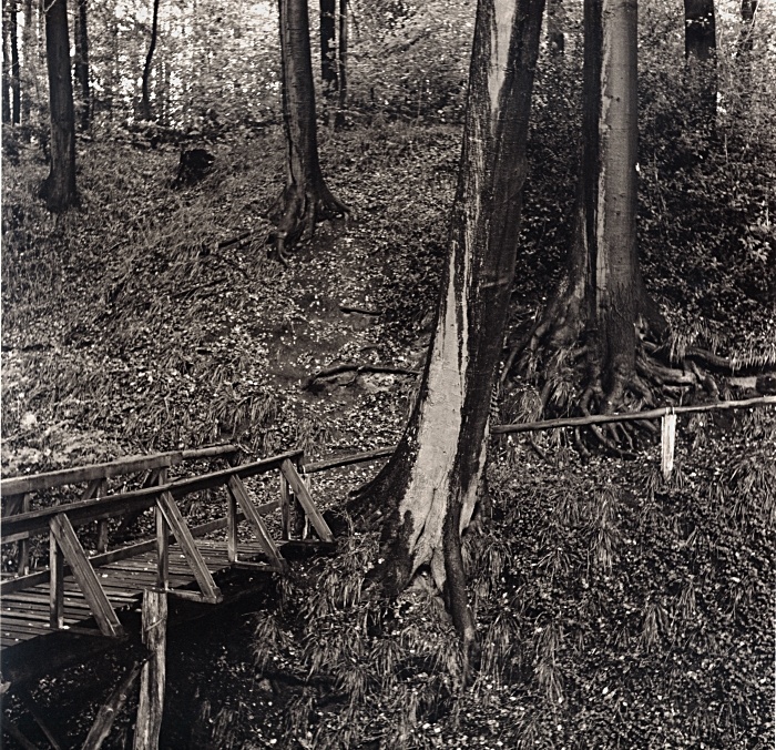 Old Customs Path