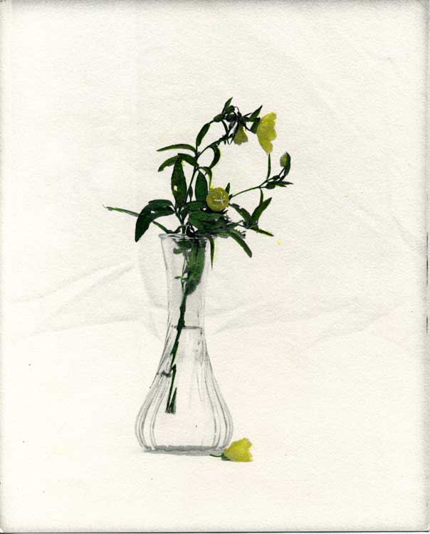 Old Flowers
