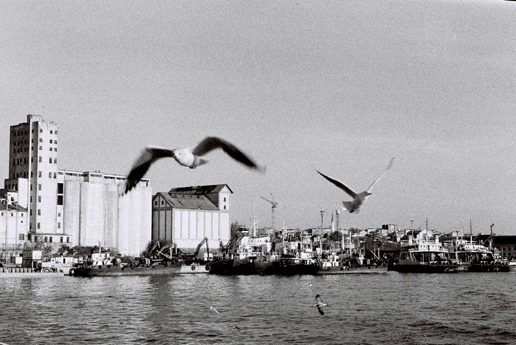 Old grain silos at port.jpg