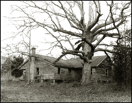 OLD Home Place with Huge Oak