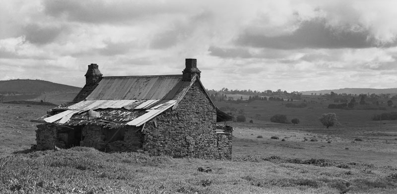 Old Homestead