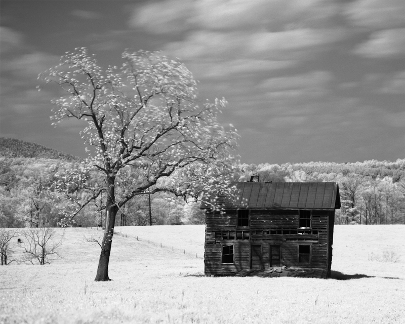 Old House - Rollei IR w/ #87