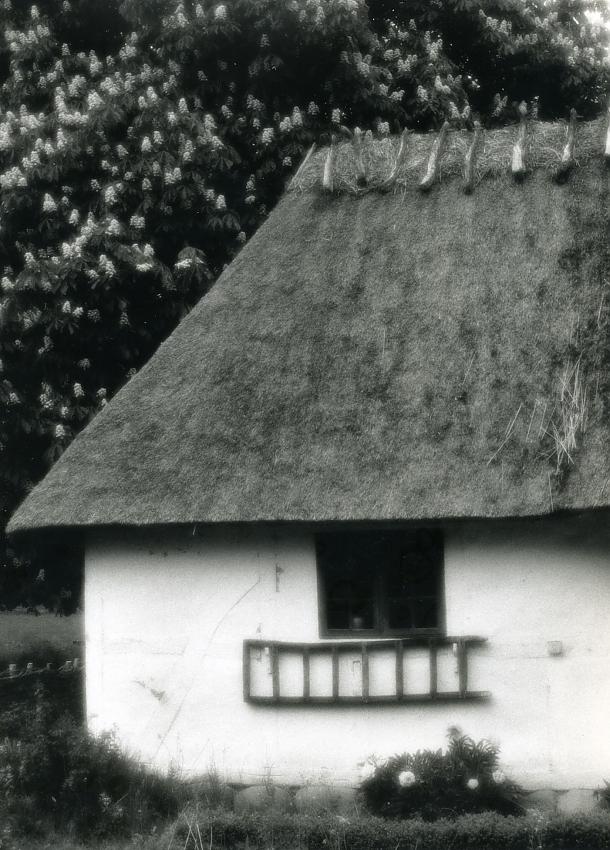 Old house