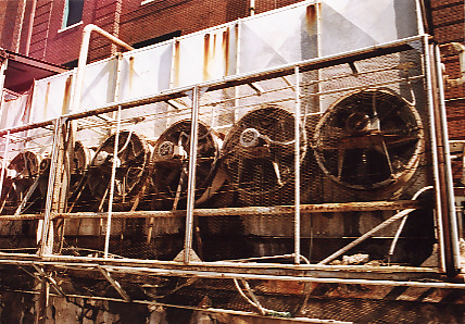 Old Market Fans
